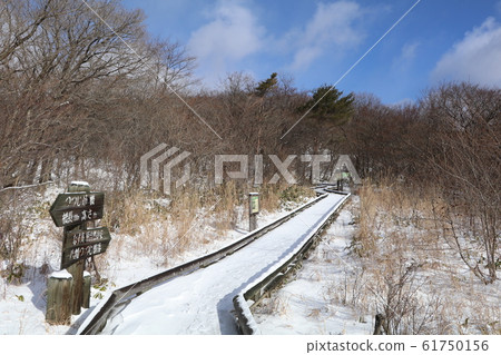 Tochigi prefecture, Nasu-gun, azalea garden, promenade Tochigi prefecture, Nasu-gun, azalea garden, promenade 61750156