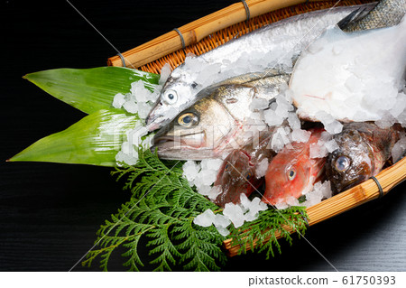 Assorted fresh fish 61750393