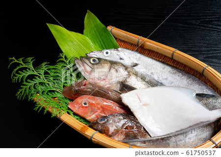 Assorted fresh fish Assorted fresh fish 61750537