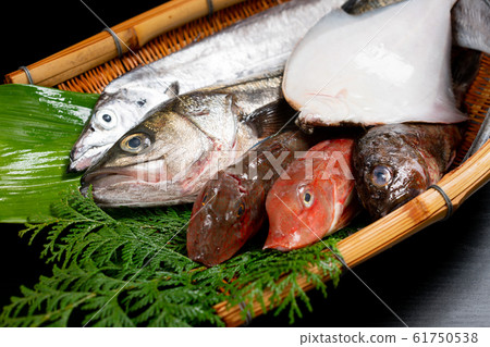 Assorted fresh fish 61750538