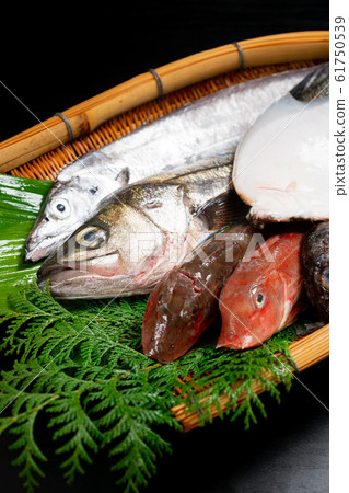 Assorted fresh fish 61750539
