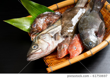 Assorted fresh fish 61750697