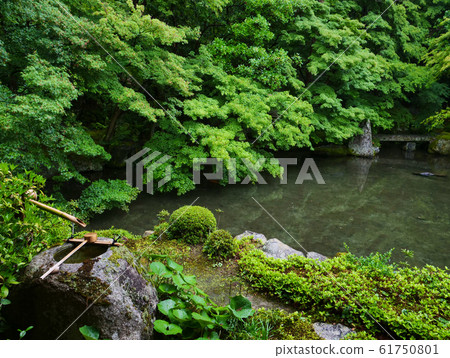 Kyoto Rengeji Temple Japanese garden, Japanese style image Kyoto Rengeji Temple Japanese garden, Japanese style image 61750801