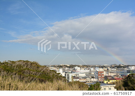 Kanagawa / Jogashima Kanagawa / Jogashima 61750917