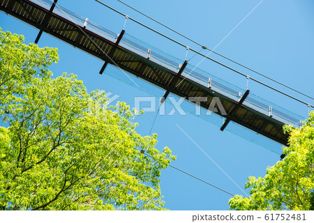 Osaka Prefectural Forest Fresh greenery in Hoshida-enchi 61752481
