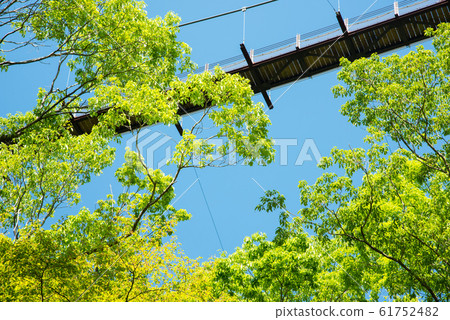 Osaka Prefectural Forest Fresh greenery in Hoshida-enchi 61752482