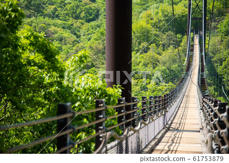 Osaka Prefectural Forest Fresh greenery in Hoshida-enchi 61753879