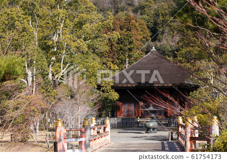 白水Amidado 61754173