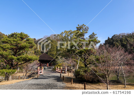 白水Amidado 61754198