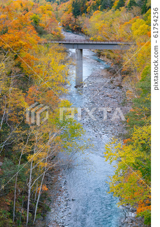 Colour changing tree over small river 61754256