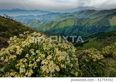 Mt.Fuji and Mt. Mt.Fuji and Mt. 61754502