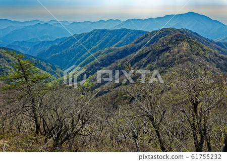 Fresh green mountains and Oyama seen from Tanzawa and Tonodake 61755232