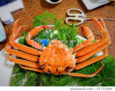 京都愛美町湯浦浦溫泉松葉蟹（冬季） 61755904