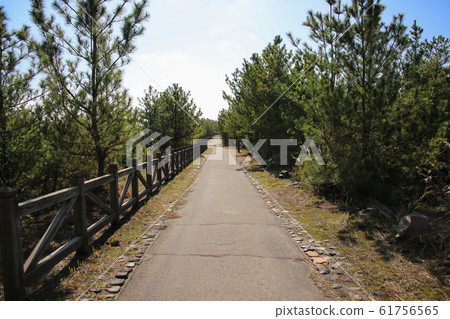 Kagoshima Prefecture Kagoshima City Lava Nagisa Promenade Kagoshima Prefecture Kagoshima City Lava Nagisa Promenade 61756565