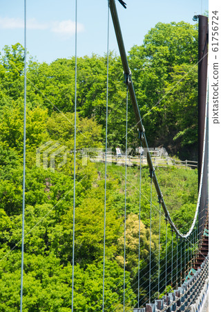 Osaka Prefectural Forest Fresh greenery in Hoshida-enchi 61756724