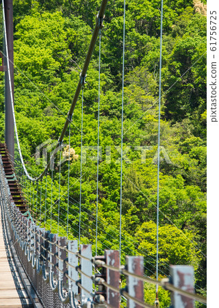 Osaka Prefectural Forest Fresh greenery in Hoshida-enchi 61756725