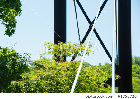 Osaka Prefectural Forest Fresh greenery in Hoshida-enchi Osaka Prefectural Forest Fresh greenery in Hoshida-enchi 61756726