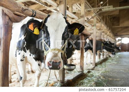 Barn 61757204