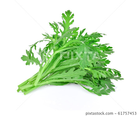 Chrysanthemum coronarium Isolated on white background Chrysanthemum coronarium Isolated on white background 61757453