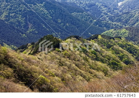 從田澤山和鍋原山山脊看到的新鮮綠色小丸山脊 從田澤山和鍋原山山脊看到的新鮮綠色小丸山脊 61757643