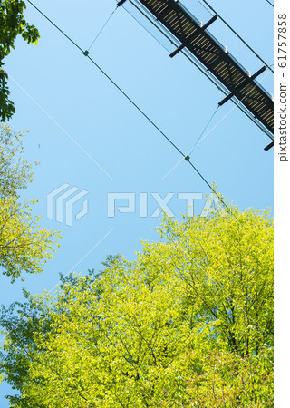 Osaka Prefectural Forest Fresh greenery in Hoshida-enchi 61757858