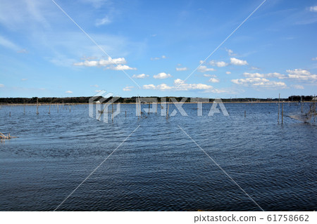 Scenery of Inba Marsh, Chiba Prefecture 61758662