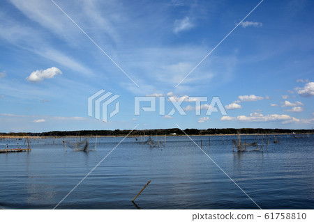 千葉縣因巴沼澤的風景 千葉縣因巴沼澤的風景 61758810