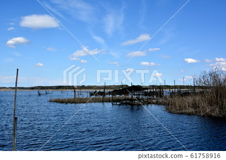 Scenery of Inba Marsh, Chiba Prefecture 61758916