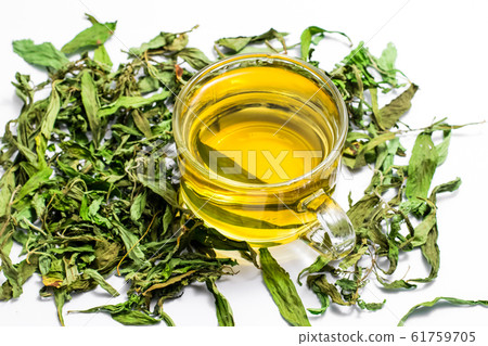 Dry stevia leaves Dry stevia leaves 61759705