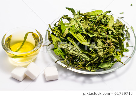 Dry stevia leaves Dry stevia leaves 61759713