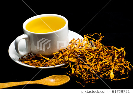 Cordyceps militaris mushroom Cordyceps militaris mushroom 61759731