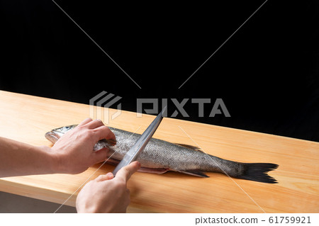 在海鱸魚麵前 61759921