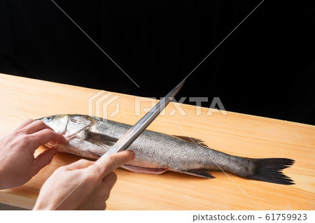 在海鱸魚麵前 在海鱸魚麵前 61759923