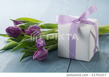 purple tulip with gift box on blue wood background purple tulip with gift box on blue wood background 61761817