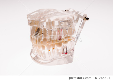 Transparent dentures jaw layout on a white 61763405