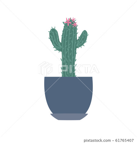 Houseplant in doodle style. Cute prickly green 61765407