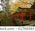 Izushi Castle Torii 61766983