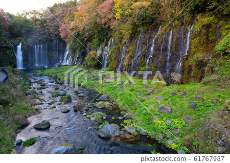 [Shizuoka Prefecture] Shiraito Falls 61767987