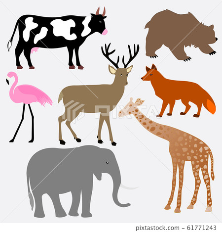 baby animals,vector illustration baby animals,vector illustration 61771243