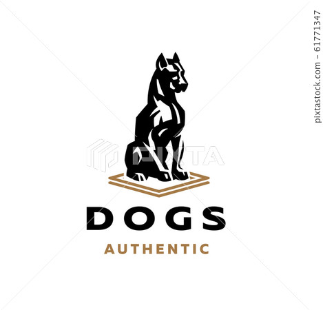 Image of a dog Image of a dog 61771347