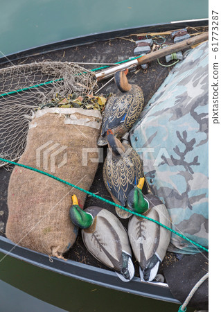 Decoy Ducks Decoy Ducks 61773287