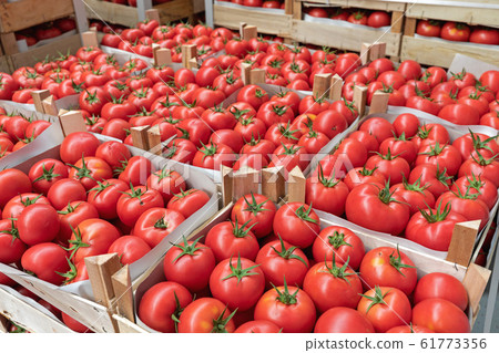 Tomatoes Produce 61773356
