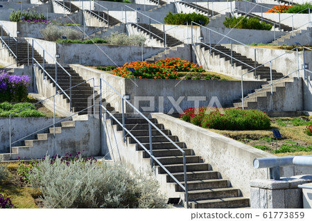 Awajishima flower bed Awaji dream stage 61773859