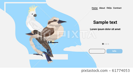 Common starling kookaburra cockatoo birds cartoon wild animals symbol wildlife species fauna concept flat horizontal copy space 61774053
