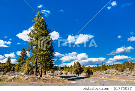 Volcanic Legacy Scenic Byway near Mount Shasta in California 61775057