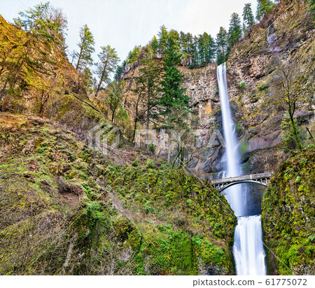 Multnomah Falls in the Columbia River Gorge, USA 61775072