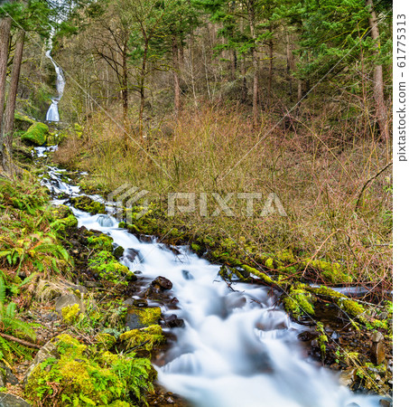 Wahkeena Creek in the Columbia River Gorge, USA Wahkeena Creek in the Columbia River Gorge, USA 61775313