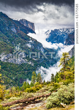 Landscape of Yosemite National Park in California Landscape of Yosemite National Park in California 61775585