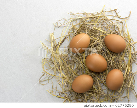 Brown chicken eggs on straw isolated on white background. Brown chicken eggs on straw isolated on white background. 61776290