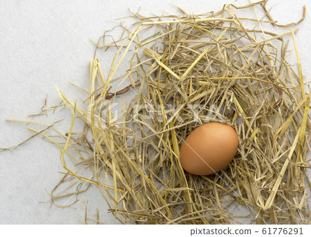 Brown chicken eggs on straw isolated on white background. Brown chicken eggs on straw isolated on white background. 61776291